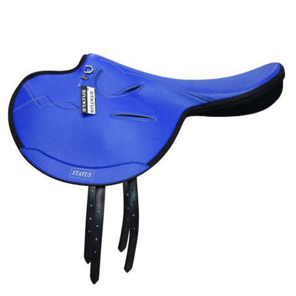 Status Exercise Saddle