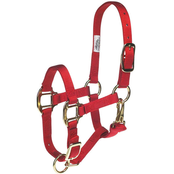 Halter