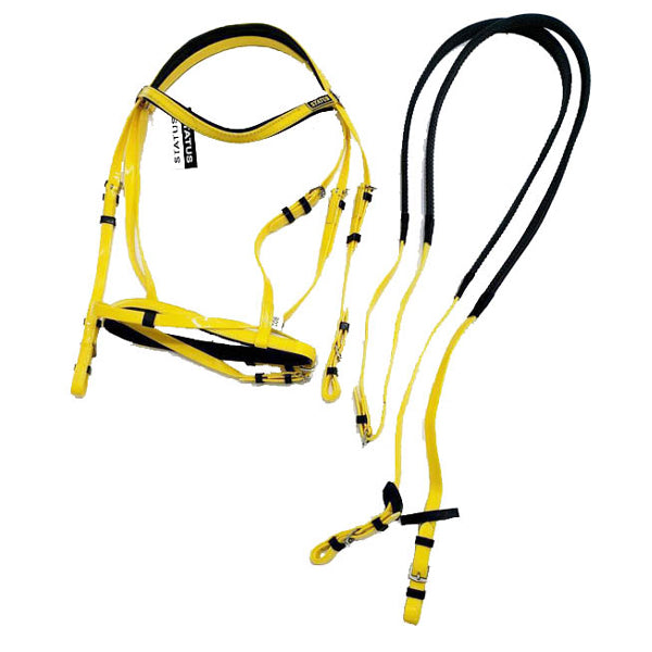 ART: RBS: 002 PVC Racing Bridle Full Set